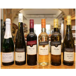 Probenpaket 6 x <br>"TOP Antwerpen" <br>gemischt