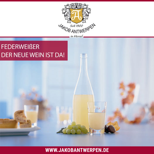 Federweisser Federweisser
