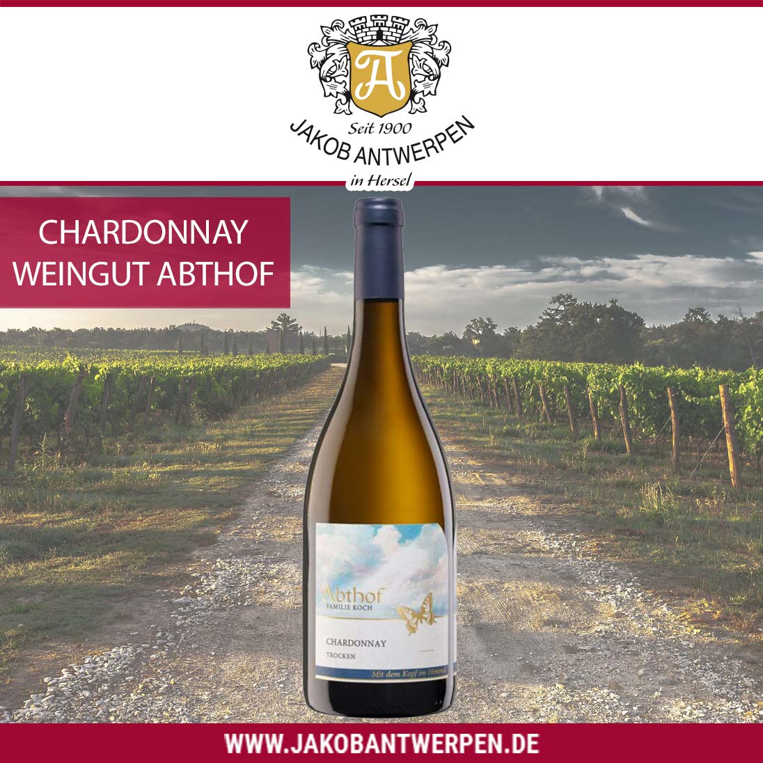 News-Chardonnay-Abthof