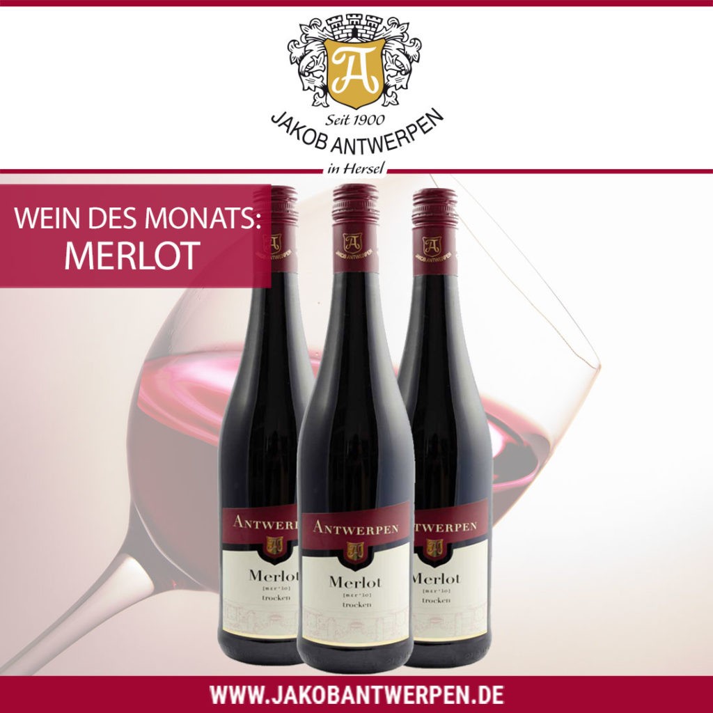 Wein des Monats Februar: Merlot