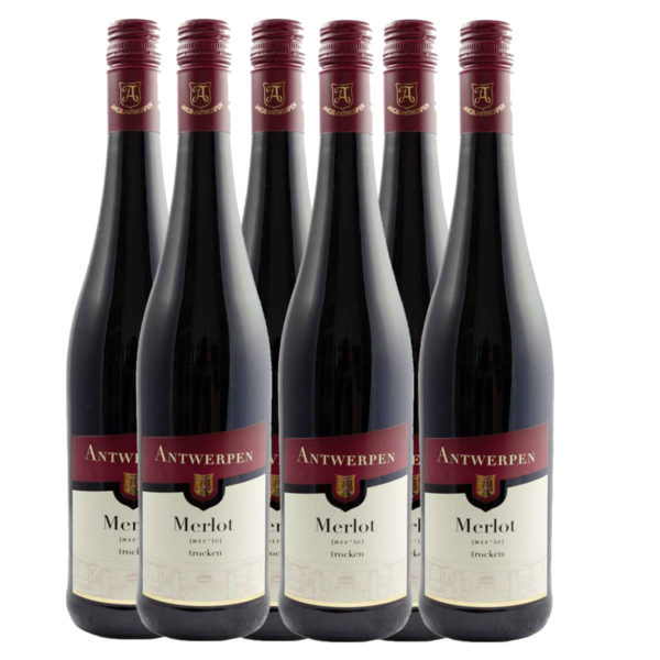 Februar Angebot 5+1 Flaschen Deidesheimer Hofstück Merlot trocken