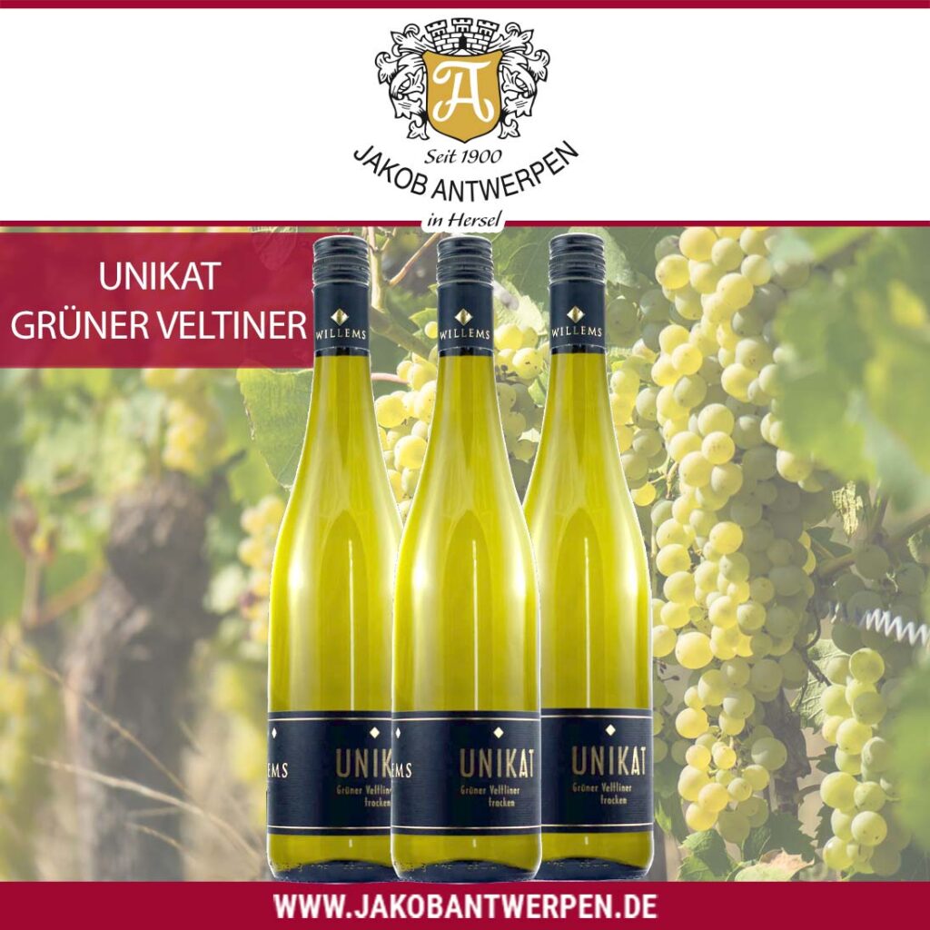UNIKAT - Grüner Veltiner von der Saar