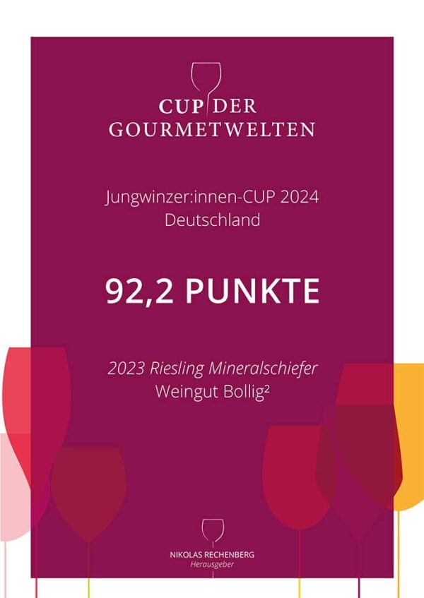 2023 Bollig Riesling Mineralschiefer