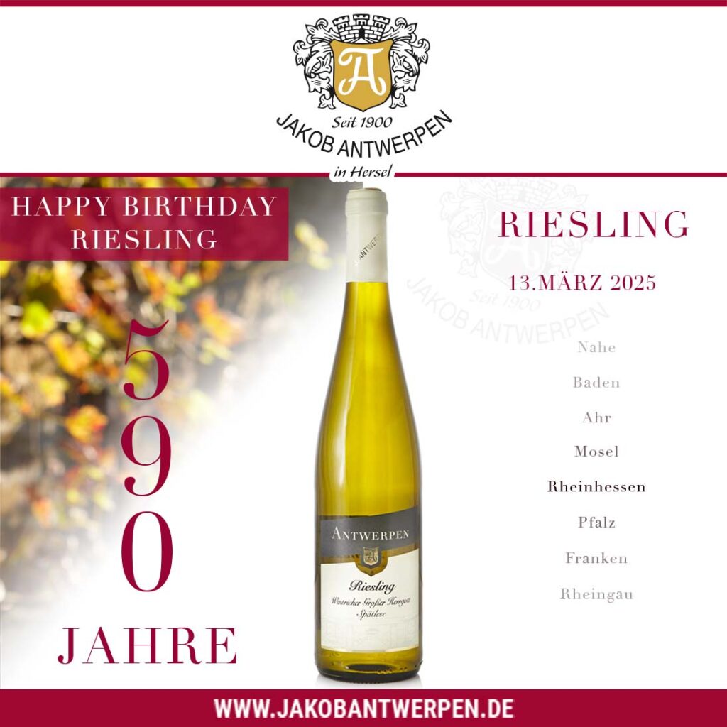 590 Jahre Riesling