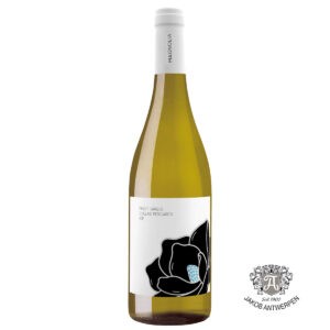 2025 Magnolia Pinot Grigio Colline Pescaresi