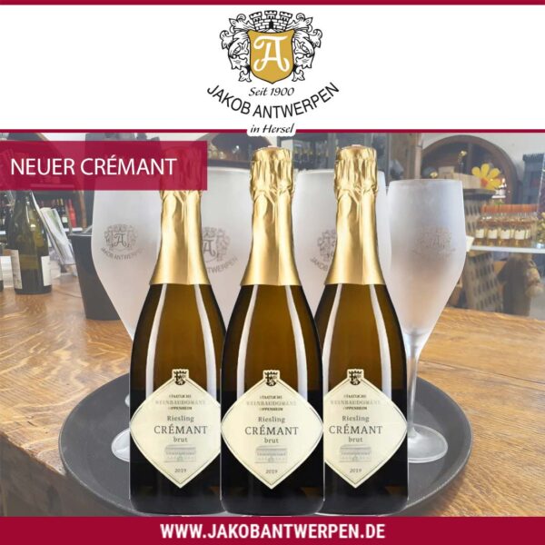 2019 Riesling Crémant brut – Bild 2